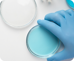 Petri Dish